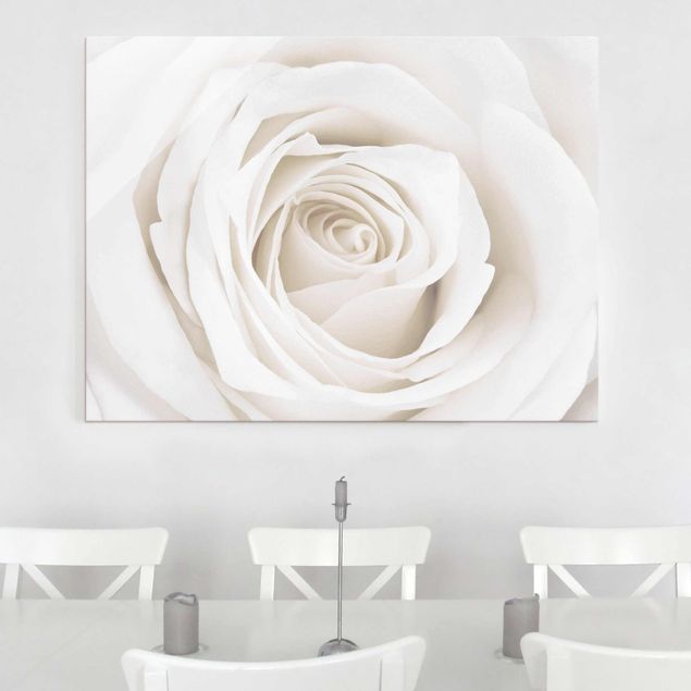 Glass prints flower Pretty White Rose