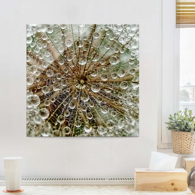 Glass prints dandelion clock Dandelion In Autumn