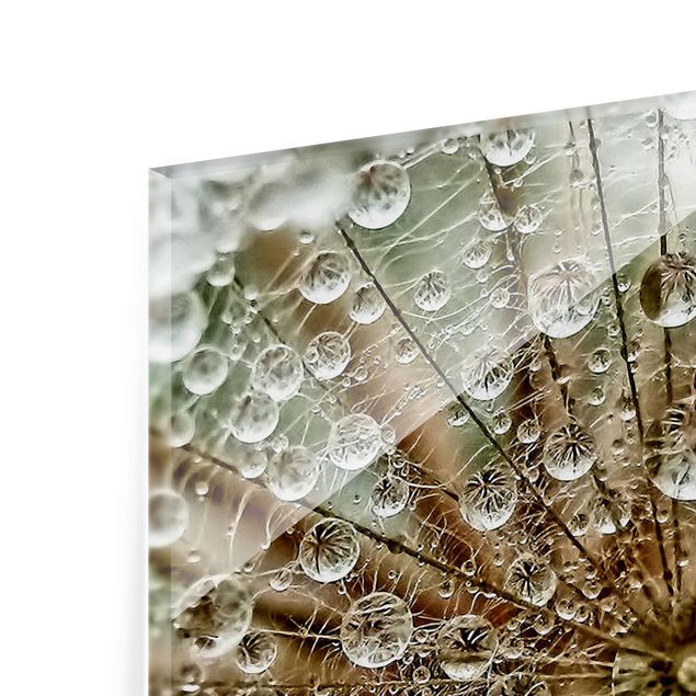 Glas Magnetboard Dandelion In Autumn