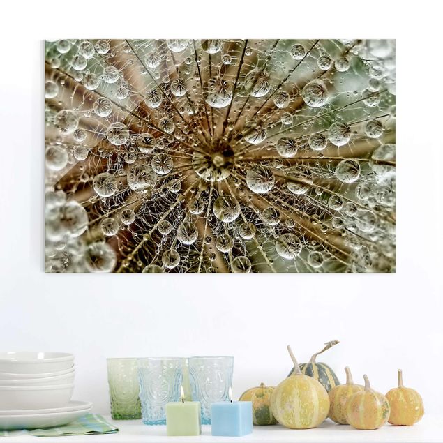 Glass prints dandelion clock Dandelion In Autumn