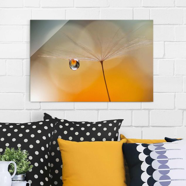 Glass prints dandelion clock Dandelion In Orange