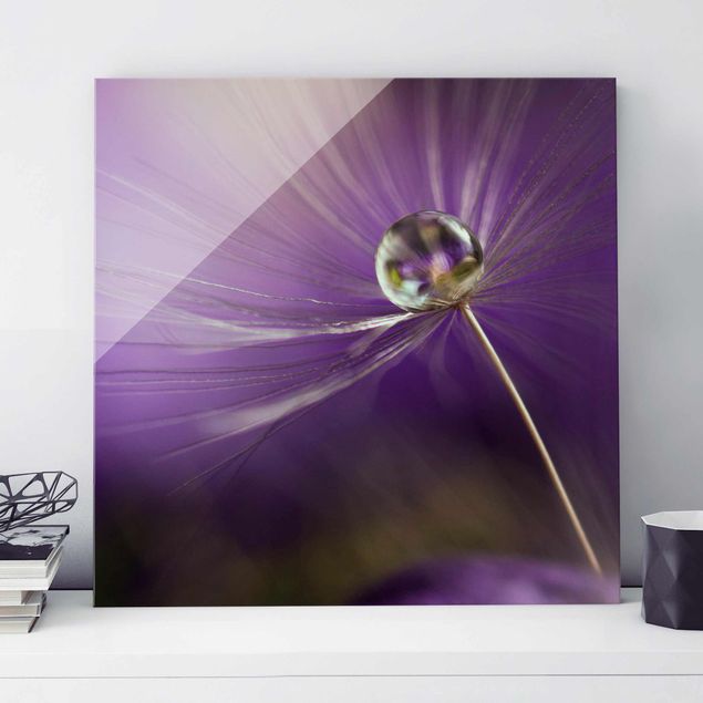 Glass prints dandelion clock Dandelion In Violet