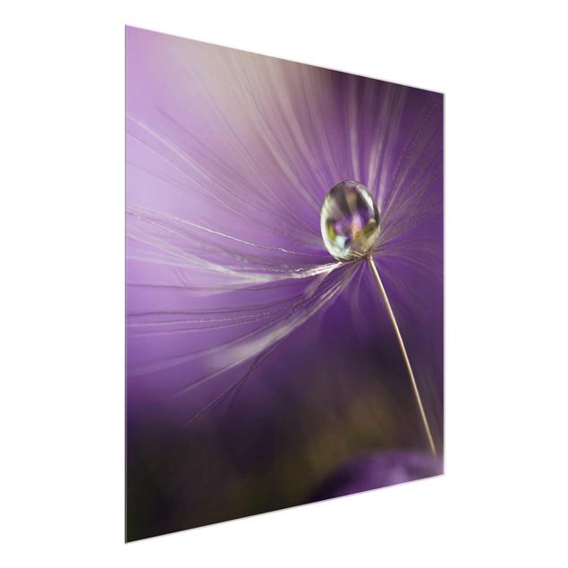 Prints floral Dandelion In Violet