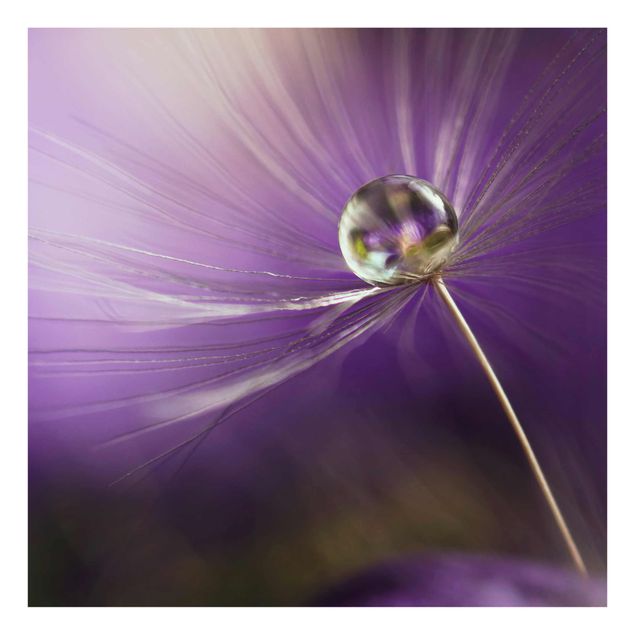 Floral prints Dandelion In Violet