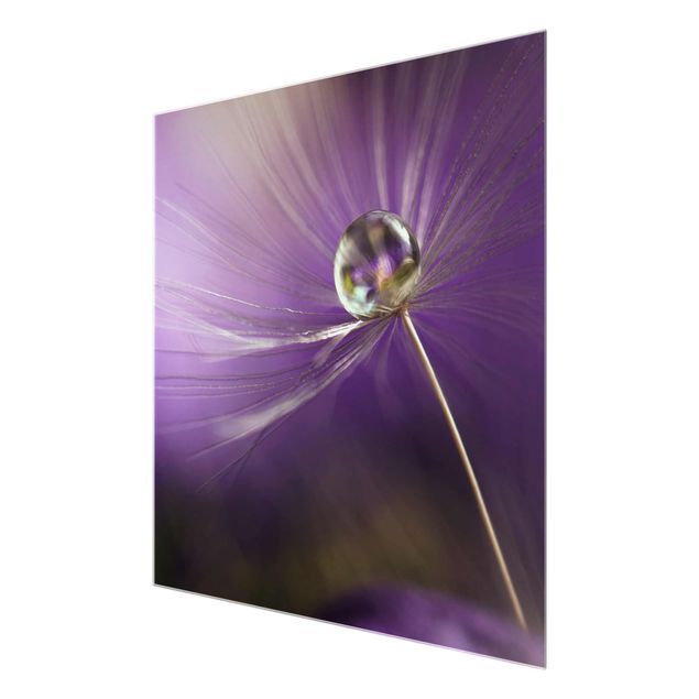 Purple print Dandelion In Violet