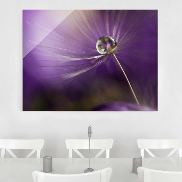 Glass prints dandelion clock Dandelion In Violet