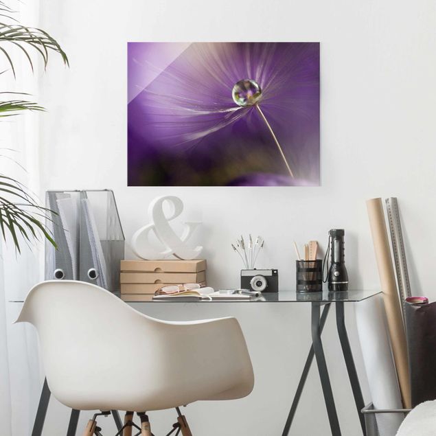 Glass prints flower Dandelion In Violet