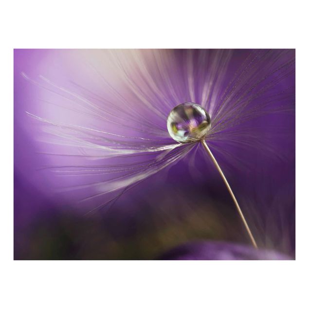 Floral prints Dandelion In Violet