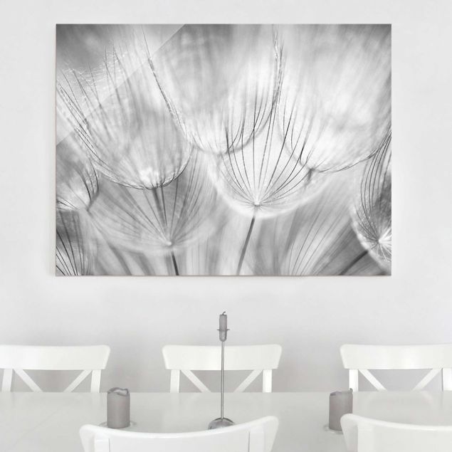 Glass prints dandelion clock Dandelions macro shot in black and white