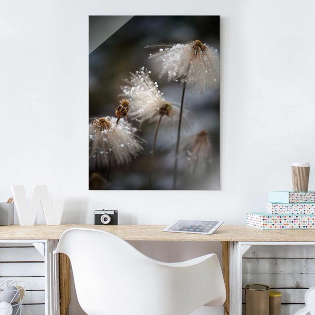 Glass prints flower Dandelions With Snowflakes