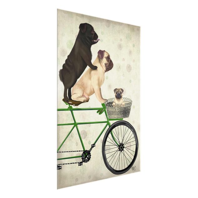Animal wall art Cycling - Pugs On Bike
