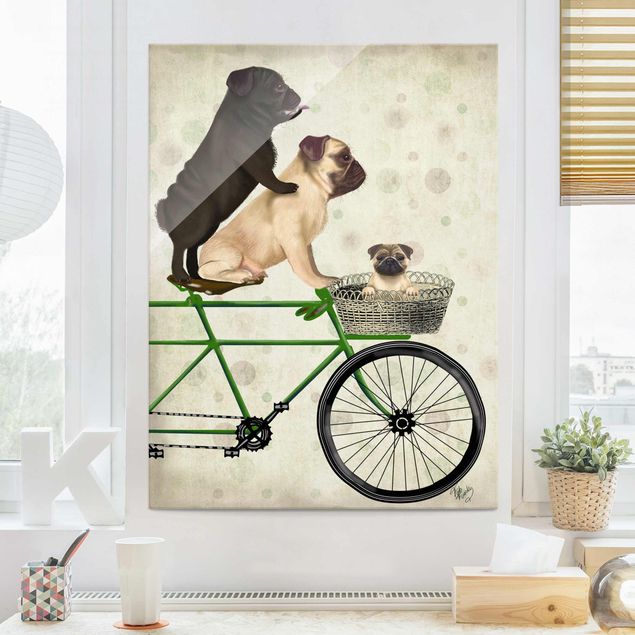Kitchen Cycling - Pugs On Bike