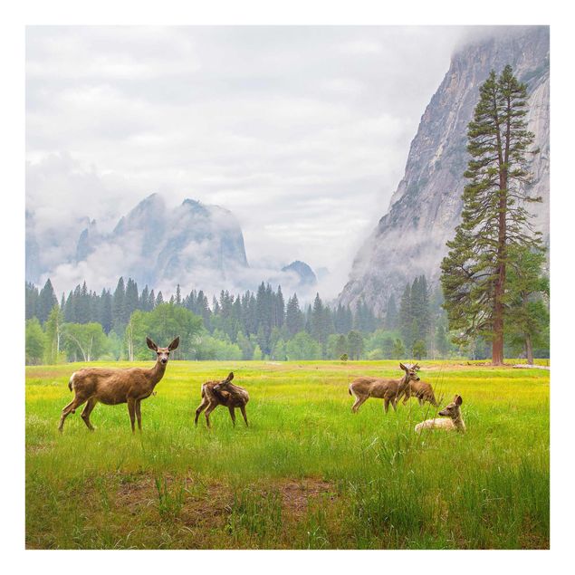 Glass prints landscape Deer In The Mountains
