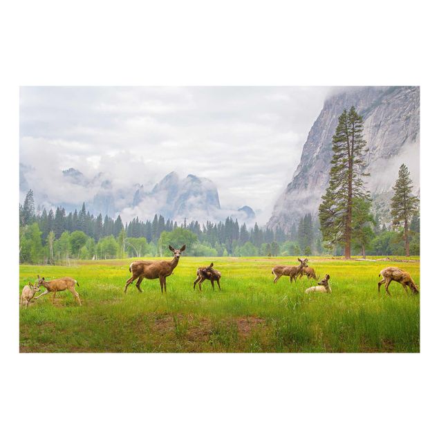 Glass prints landscape Deer In The Mountains