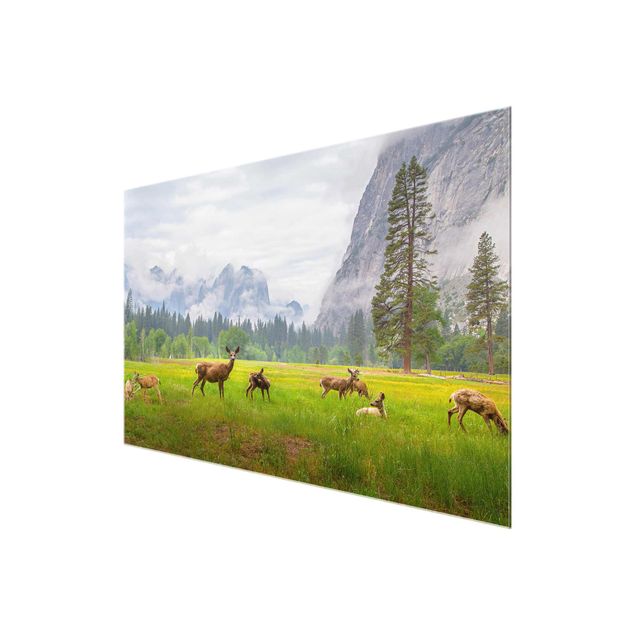 Glass prints pieces Deer In The Mountains
