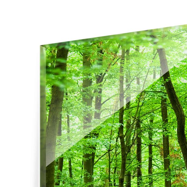 Prints Romantic Forest Track