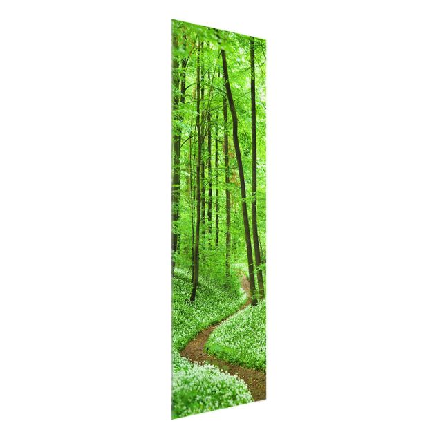 Glass prints landscape Romantic Forest Track