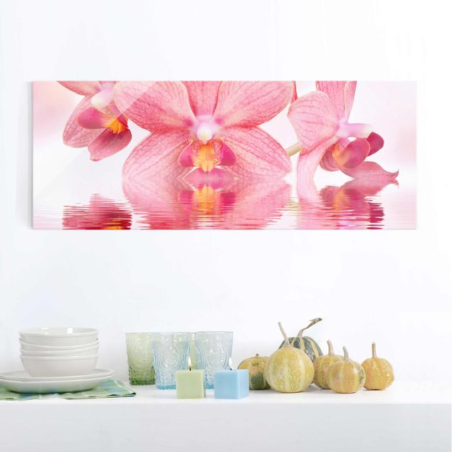 Glass prints orchid Light Pink Orchid On Water