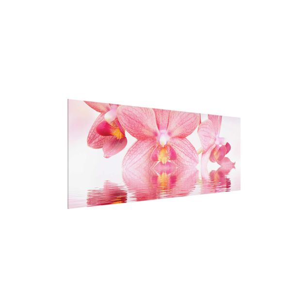 Glass prints flower Light Pink Orchid On Water