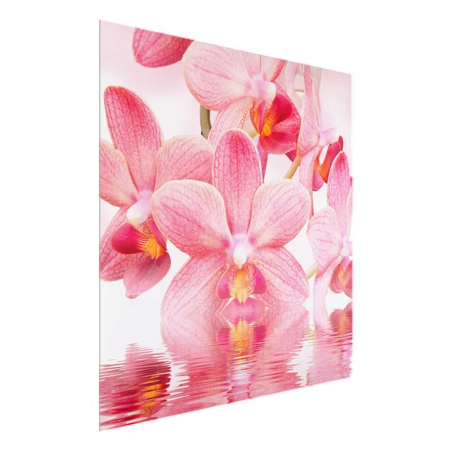Glass prints flower Light Pink Orchid On Water