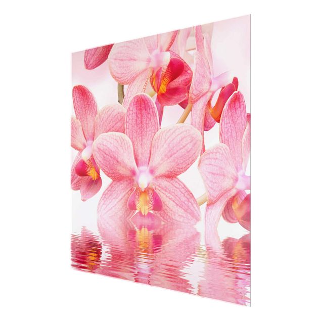 Floral picture Light Pink Orchid On Water