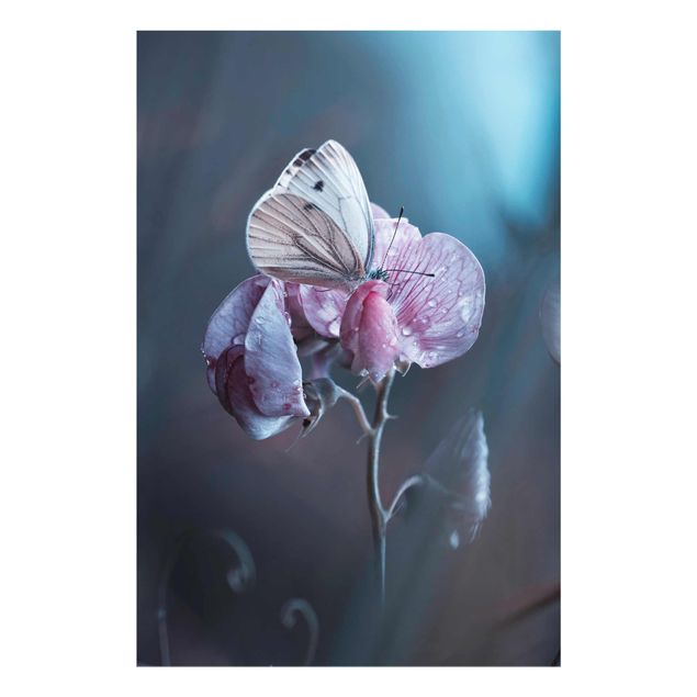 Floral prints Butterfly In The Rain