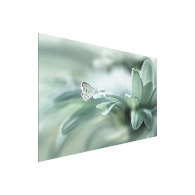 Prints floral Butterfly And Dew Drops In Pastel Green