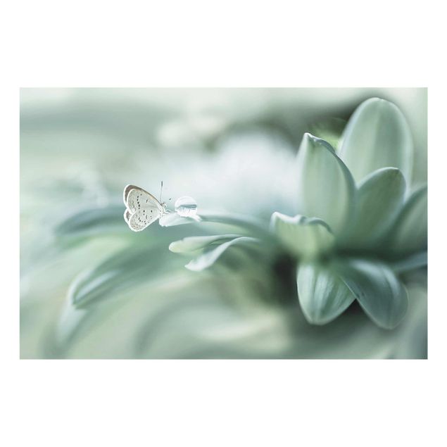 Floral prints Butterfly And Dew Drops In Pastel Green