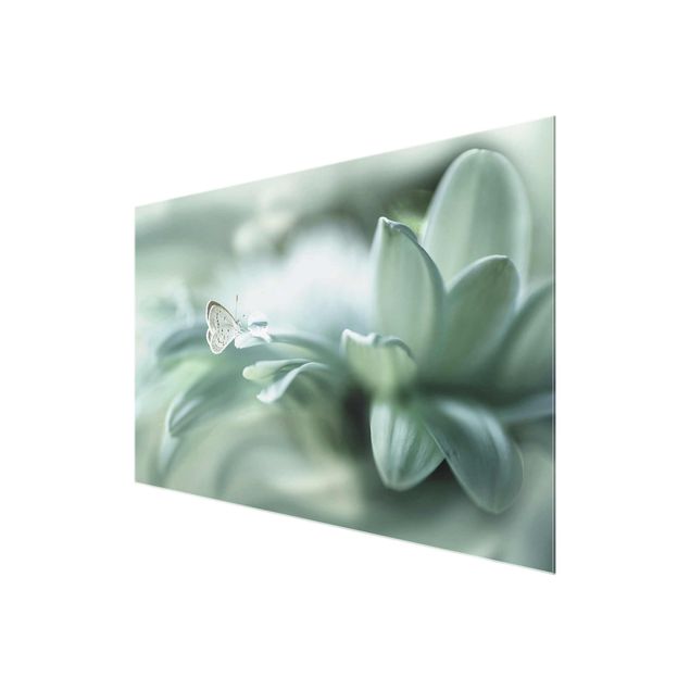 Green canvas wall art Butterfly And Dew Drops In Pastel Green