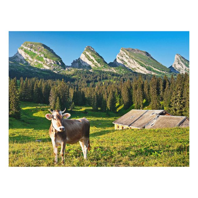 Mountain art prints Swiss Alpine Meadow With Cow