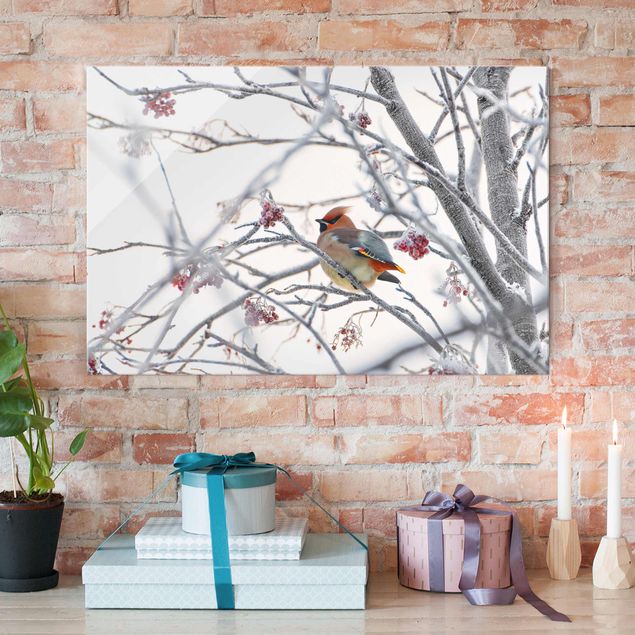 Landscape canvas prints Waxwing on a Tree