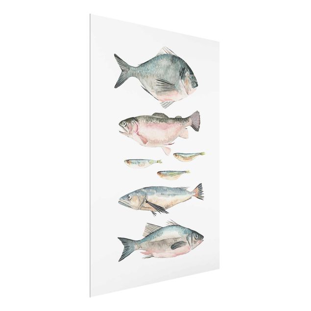 Prints animals Seven Fish In Watercolour II