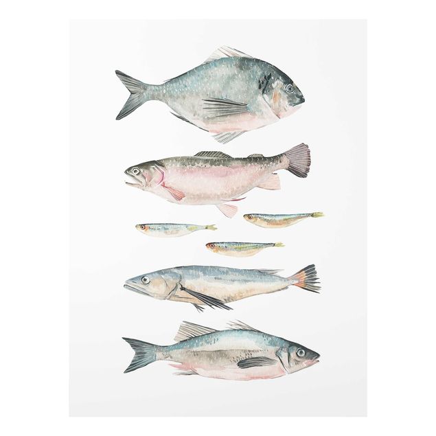 Modern art prints Seven Fish In Watercolour II