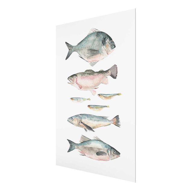 Prints Seven Fish In Watercolour II