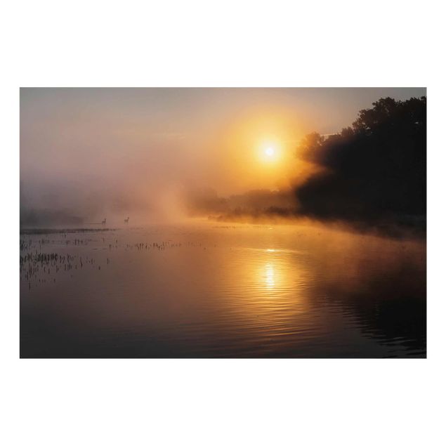 Prints nature Sunrise on the lake with deers in the fog