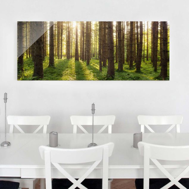 Kitchen Sun Rays In Green Forest
