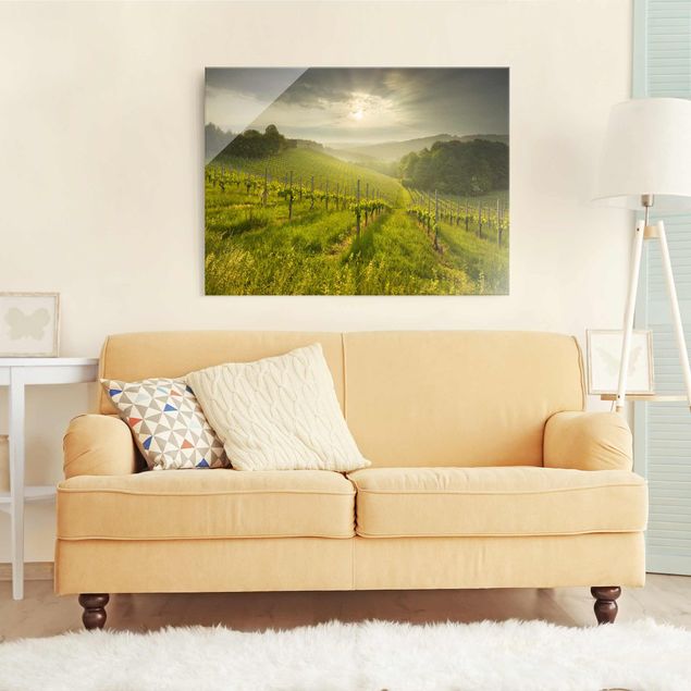 Prints landscape Sunrays Vineyard