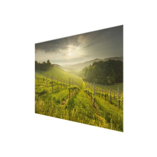 Glass prints landscape Sunrays Vineyard