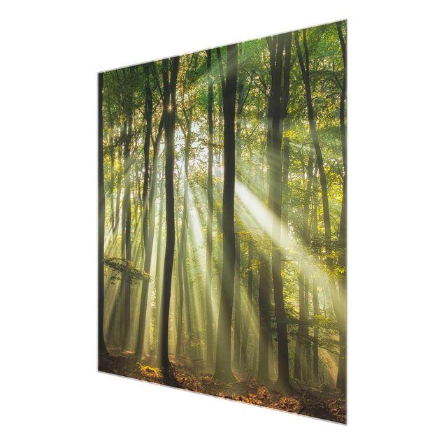 Nature wall art Sunny Day In The Forest