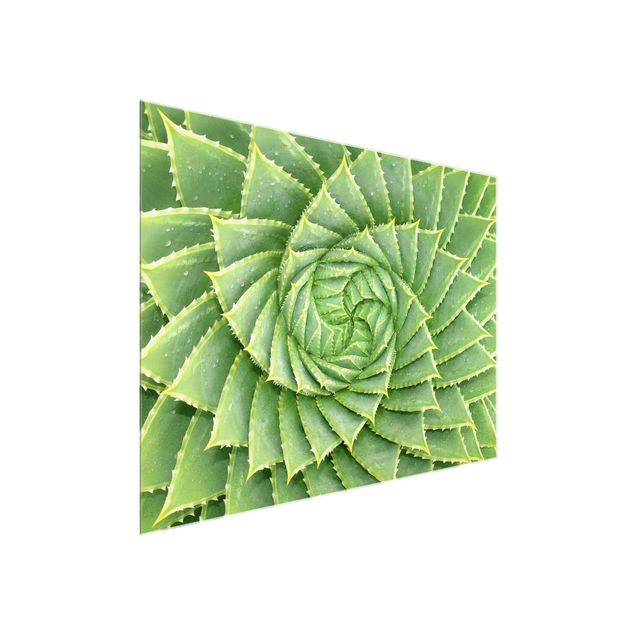 Prints green Spiral Aloe