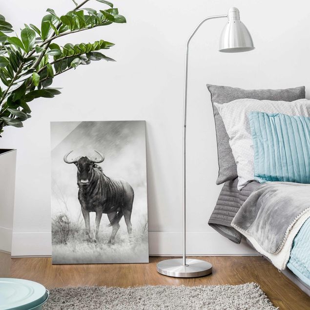 Glass prints black and white Staring Wildebeest