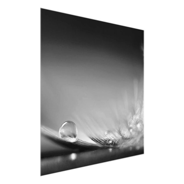 Feather prints Story of a Waterdrop Black White