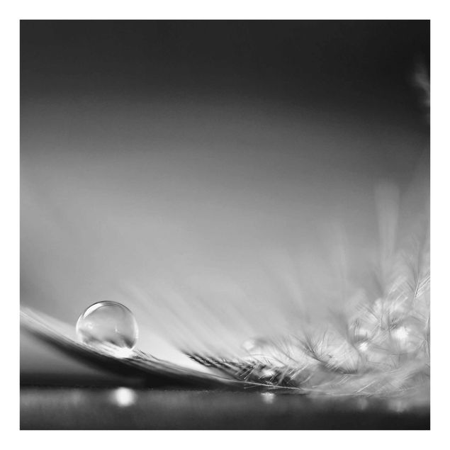 Prints black and white Story of a Waterdrop Black White