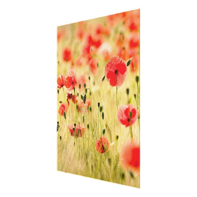 Floral picture Summer Poppies