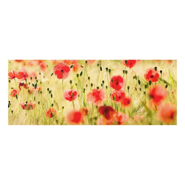Floral canvas Summer Poppies