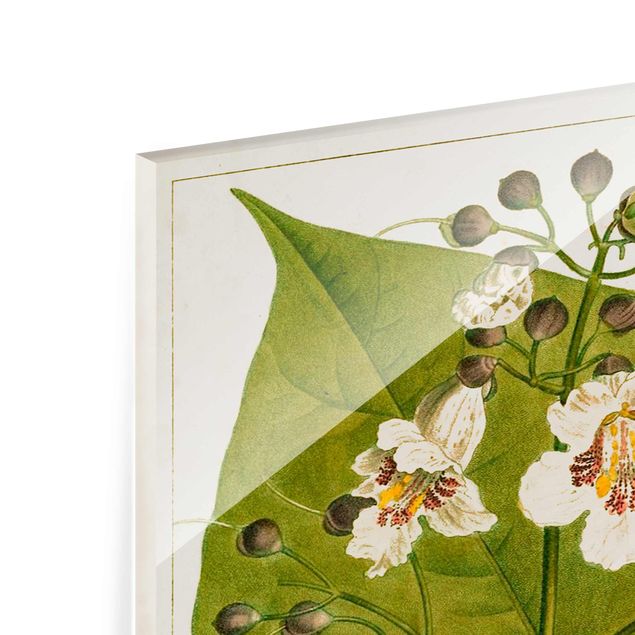 Glas Magnetboard Tableau Leaf Flower Fruit V