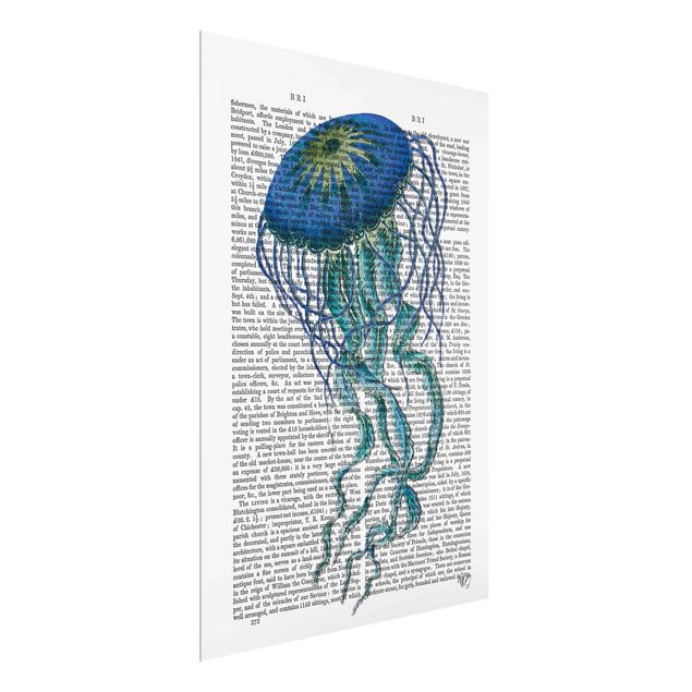 Prints animals Animal Reading - Jellyfish