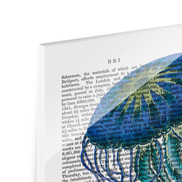 Glas Magnettafel Animal Reading - Jellyfish