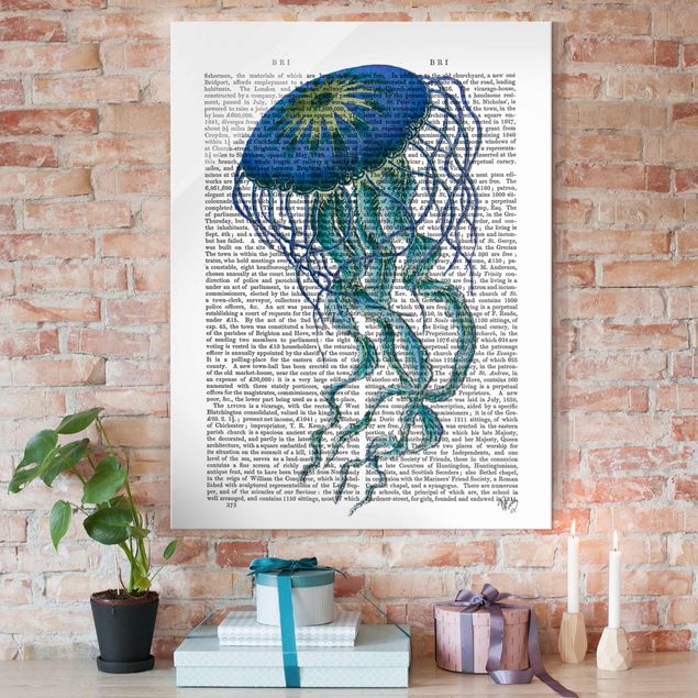 Kitchen Animal Reading - Jellyfish