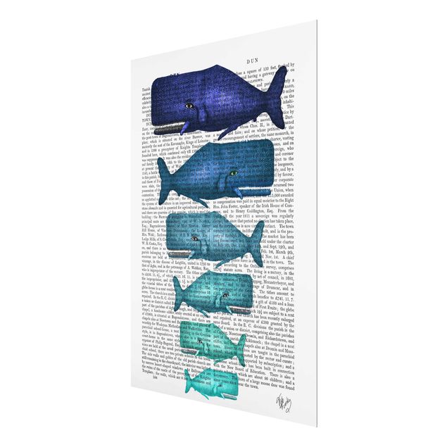 Prints Animal Reading - Whale Family